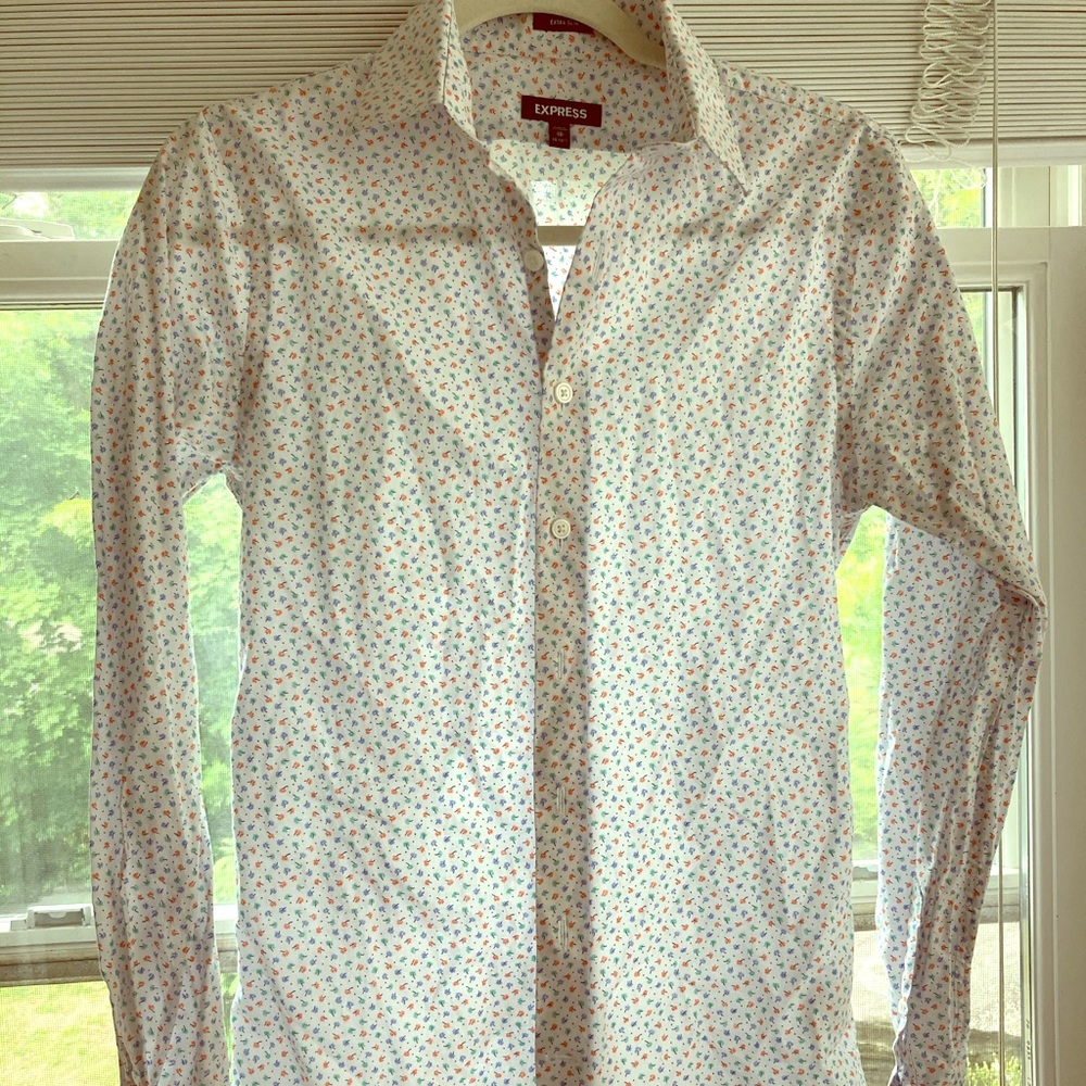 Express dress shirt